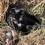 Therapie bei Arthose