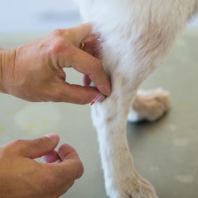 Komplementärmedizin