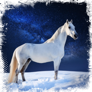 ein starkes Pferd