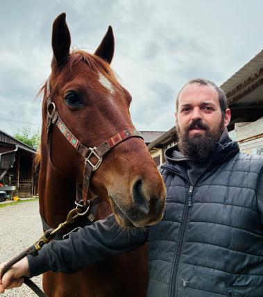 Pferd Mitralklappeninsuffizienz