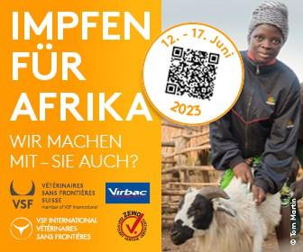 Impfen für Afrika