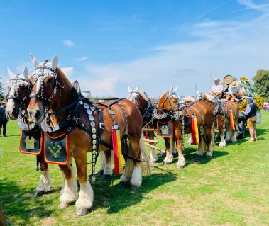 Eidgenössisches Schwing- und Älplerfest 2022