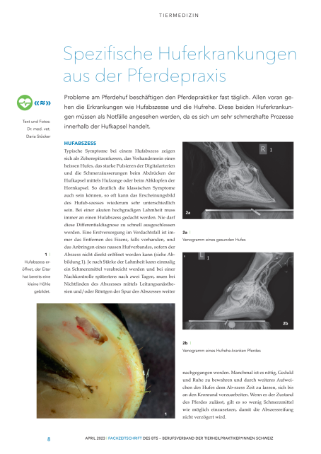 Spezielle Huferkrankungen