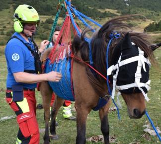 Grosstier-Rettungsdienst Schweiz und Liechtenstein GTRD