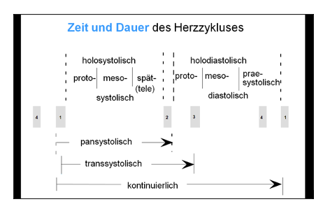 Herzgeräusche