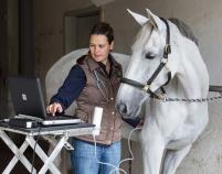 Versicherungsuntersuchung