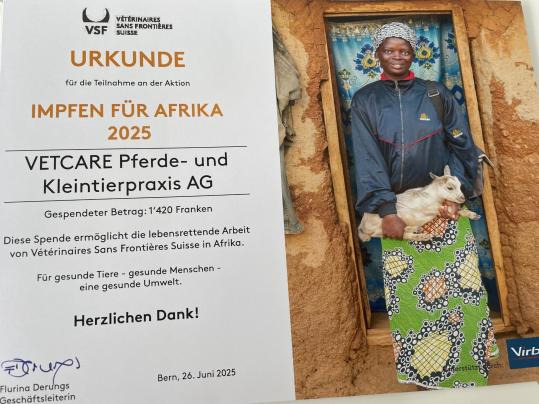 Impfen für Afrika