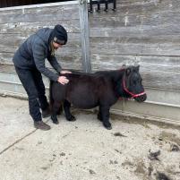 Anna Graf Osteopathie