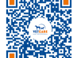 Elektronische Rechnungen mit QR-Code jetzt auch bei VETCARE!